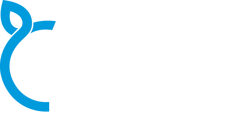 Auditoria de conteúdo reciclado 1 Yattó - Economia Circular